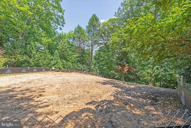 a view of a yard with plants and a trees