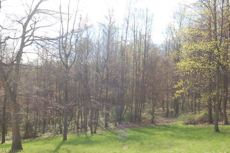 4561 Ridge Road Southwest Stone Creek, OH 43840 - Photo 21 of 23 Gallery Image 21