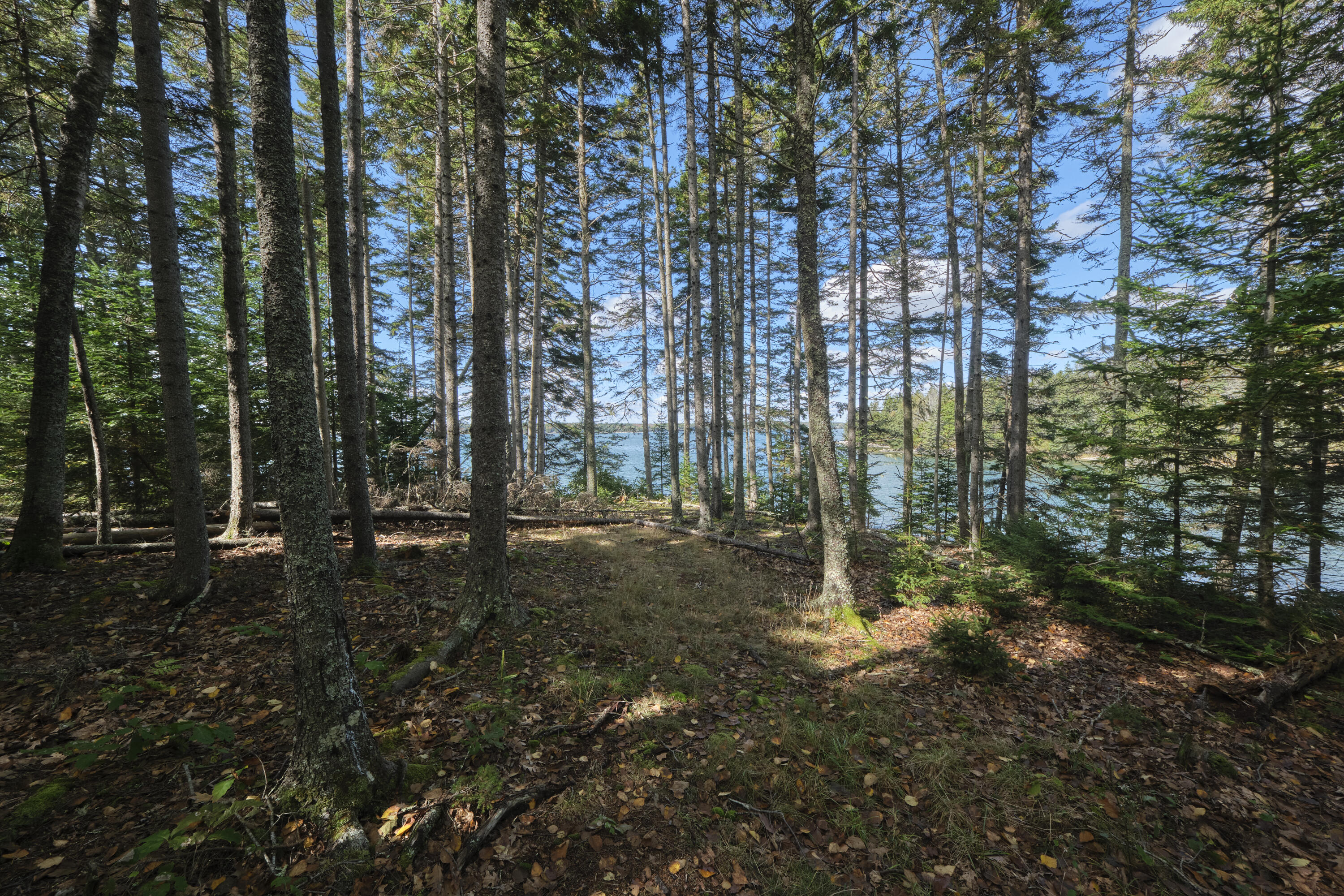 422 Wallston Road St. George, ME 04860 - Photo 14 of 70 View of the River