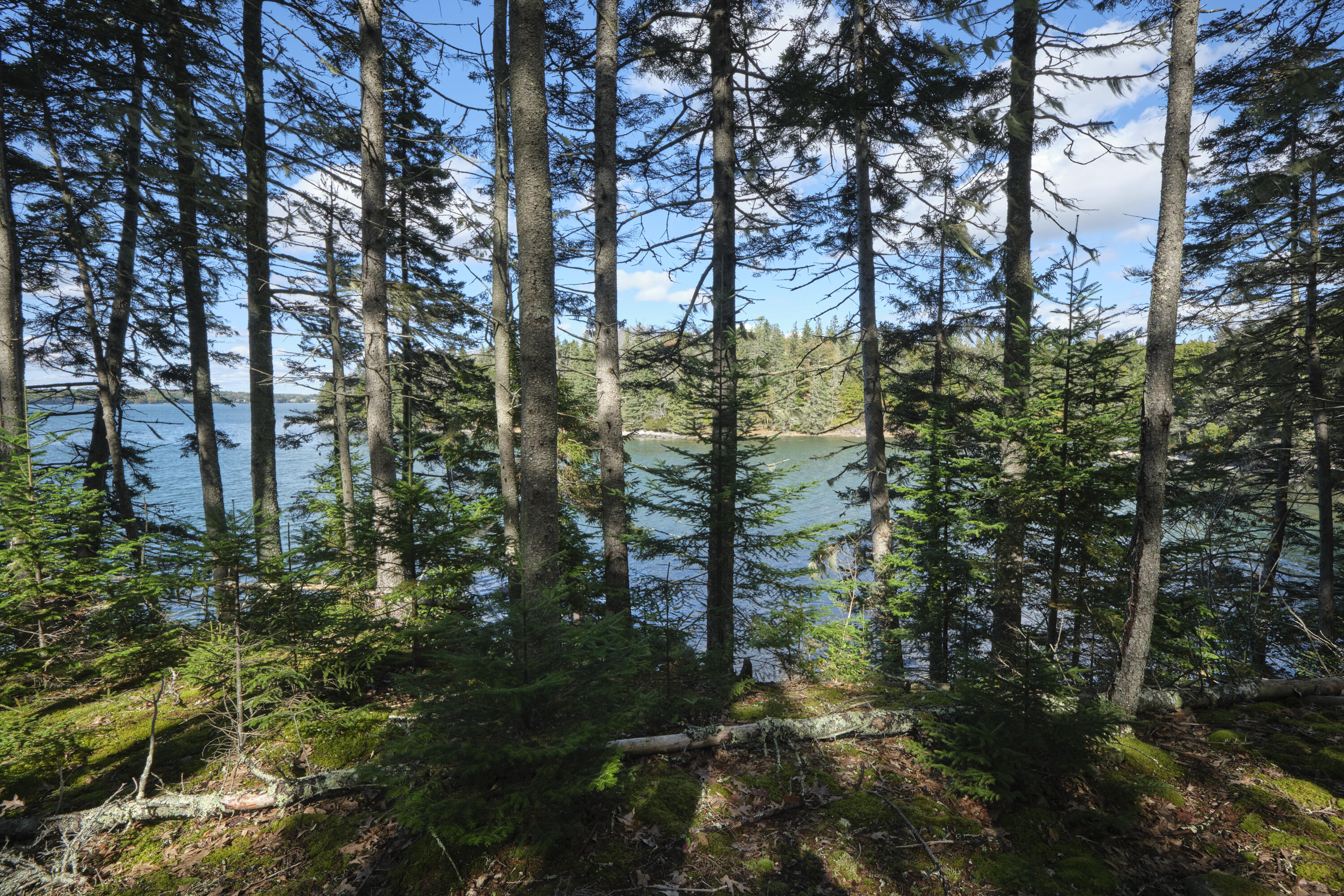 422 Wallston Road St. George, ME 04860 - Photo 15 of 70 View of the River