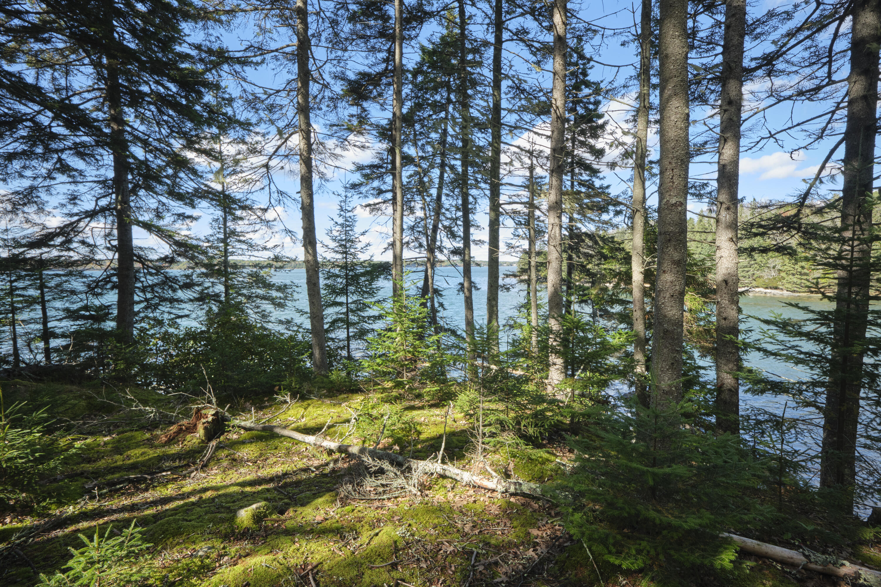 422 Wallston Road St. George, ME 04860 - Photo 16 of 70 View of the River