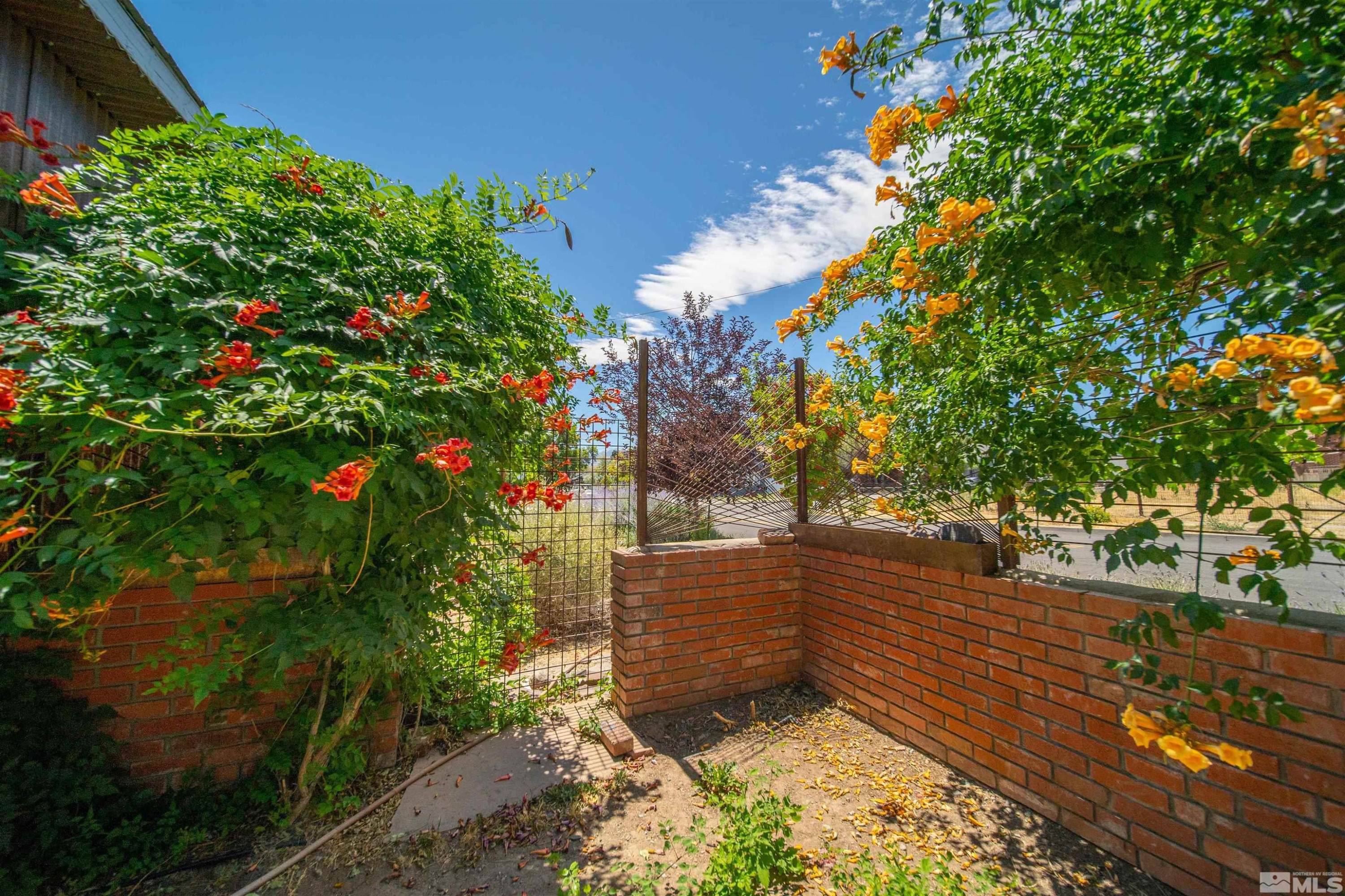 511 Cheney Street Reno, NV 89502 - Photo 26 of 31 a view of yard