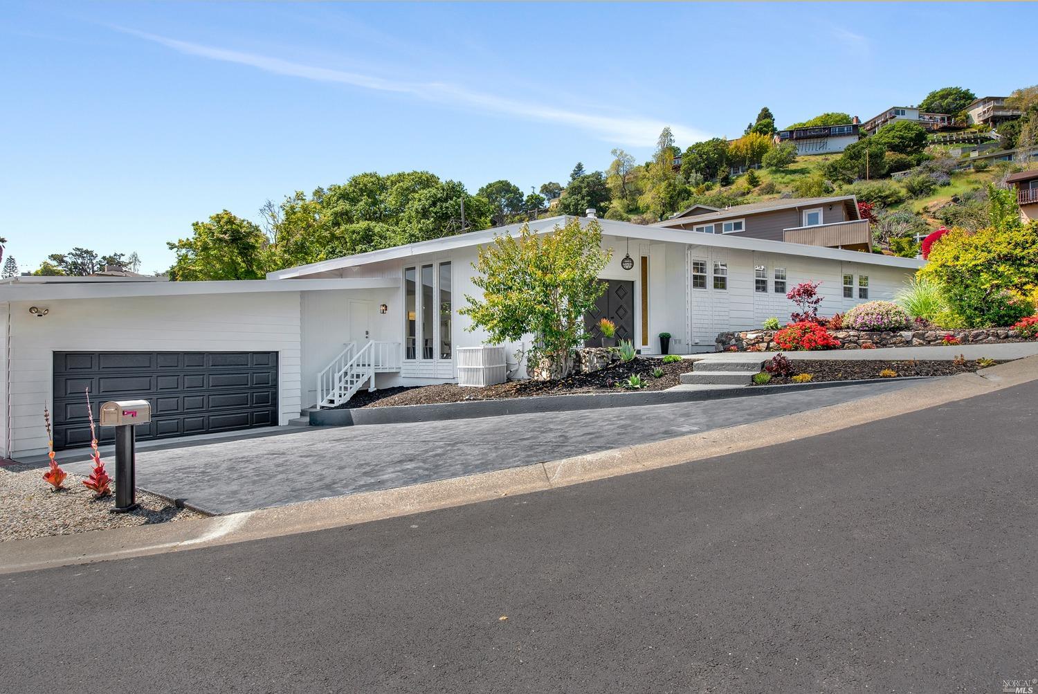 a view of a street with small plants and palm trees