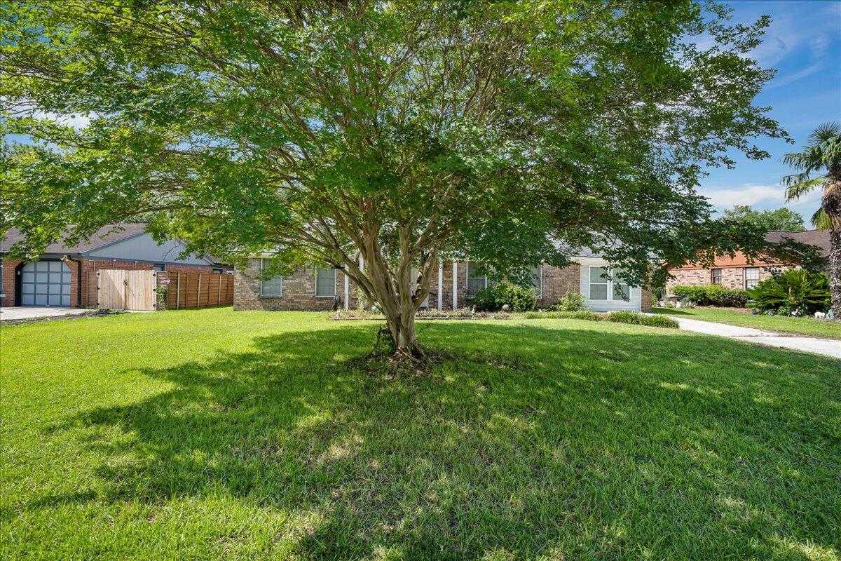 202 Longleaf Road Summerville, SC 29486 - Photo 2 of 14 03-Sara Barclay Photography LLC_0-3