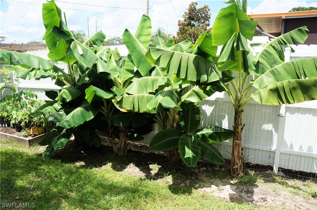 30337 Beech Road Punta Gorda, FL 33982 - Photo 11 of 33 a backyard of a house with a garden