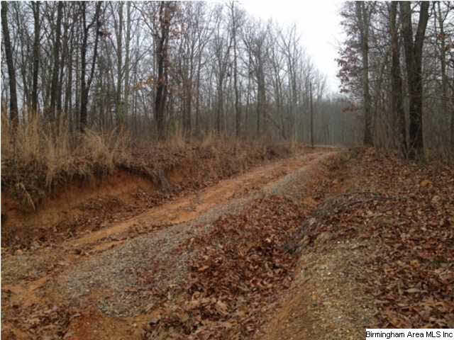 Gaines Street, Unit 80 Anniston, AL 36201 - Photo 9 of 20