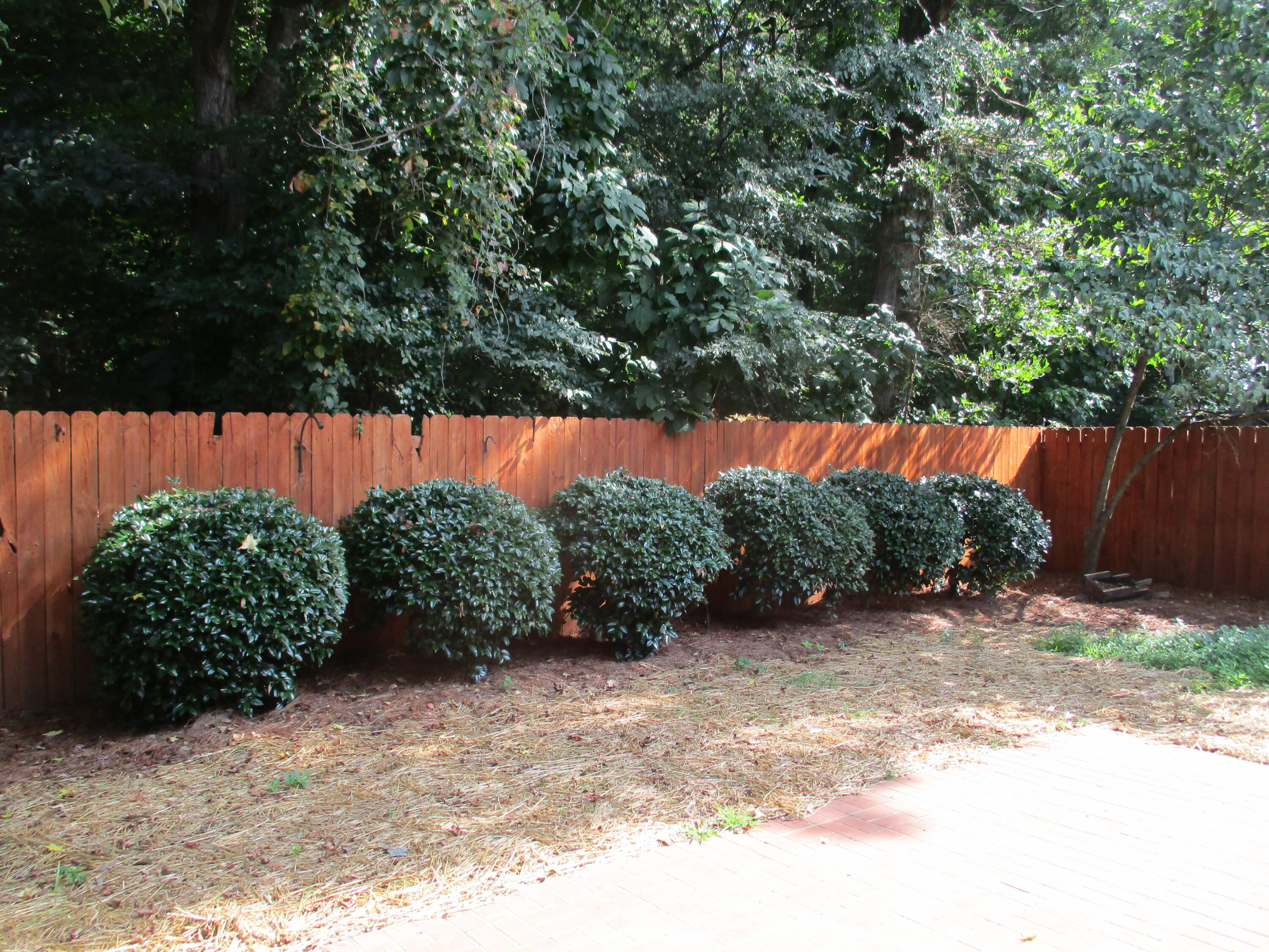 1740 Brighton Way Dalton, GA 30721 - Photo 22 of 22 IMG_3111