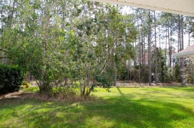 8 Eastland Lane Palm Coast, FL 32164 - Photo 53 of 60 a view of outdoor space with a garden and trees