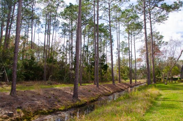 8 Eastland Lane Palm Coast, FL 32164 - Photo 59 of 60 a view of a park with large trees
