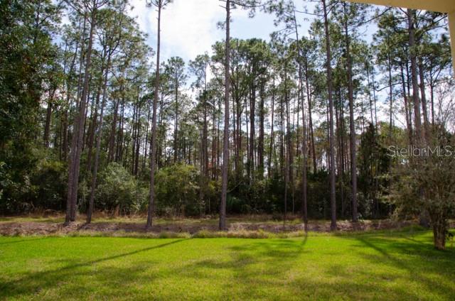 8 Eastland Lane Palm Coast, FL 32164 - Photo 60 of 60 a view of a park