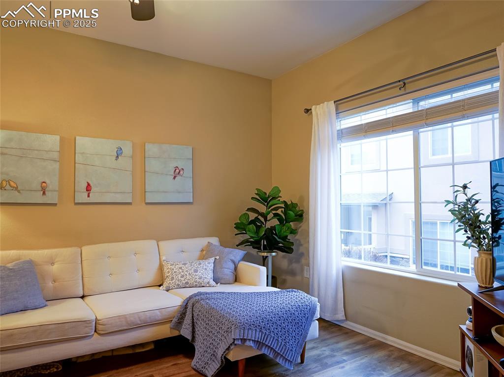 4792 Kerry Lynn View Colorado Springs, CO 80922 - Photo 5 of 31 a living room with furniture and a potted plant