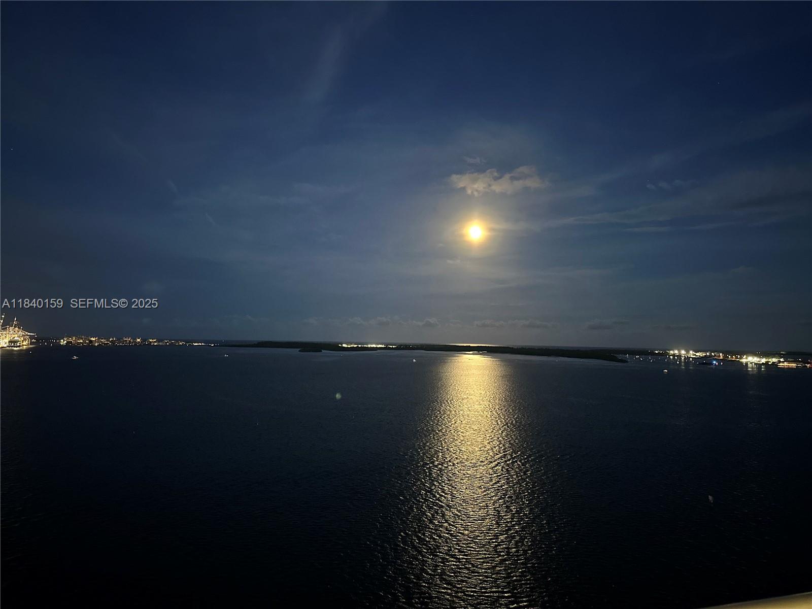 800 Claughton Island Drive, Unit 1903 Miami, FL 33131 - Photo 33 of 34 a view of outside space with wooden floor and lake view