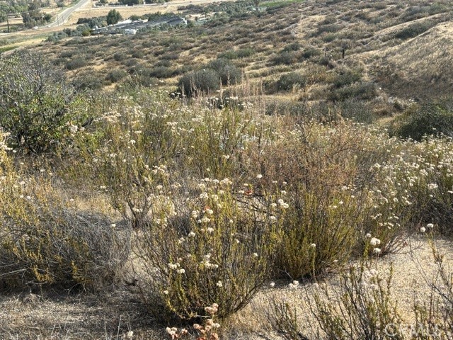 17 Ginter Road Hemet, CA 92544 - Photo 8 of 16 flat area