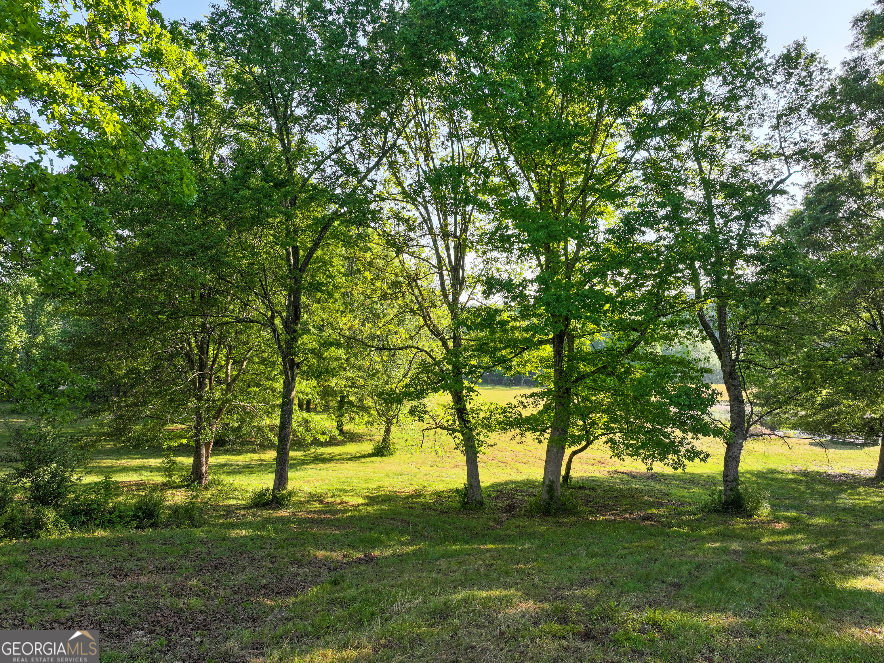360 Parrish Road Cedartown, GA 30125 - Photo 11 of 53