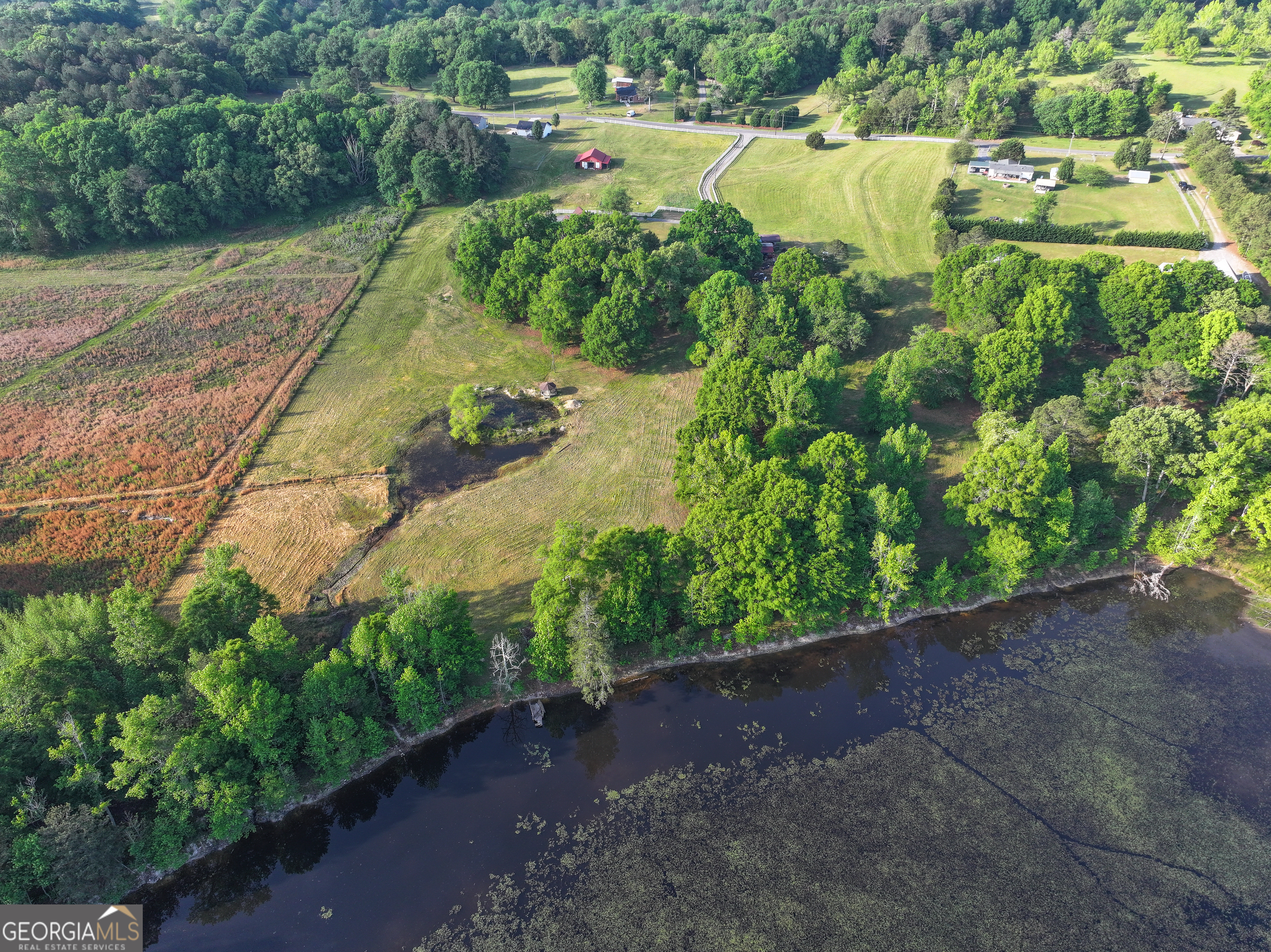 360 Parrish Road Cedartown, GA 30125 - Photo 4 of 53