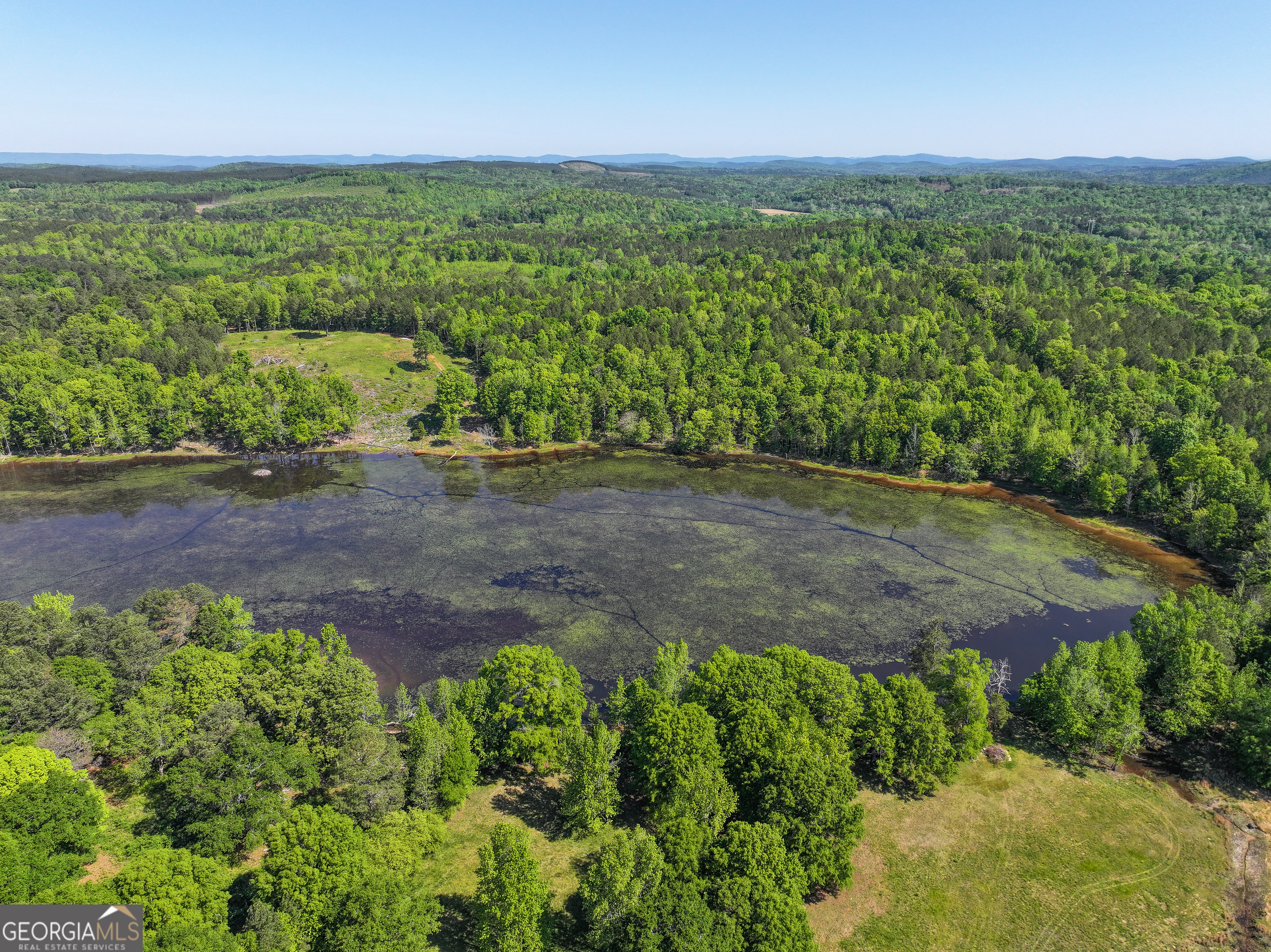 360 Parrish Road Cedartown, GA 30125 - Photo 43 of 53