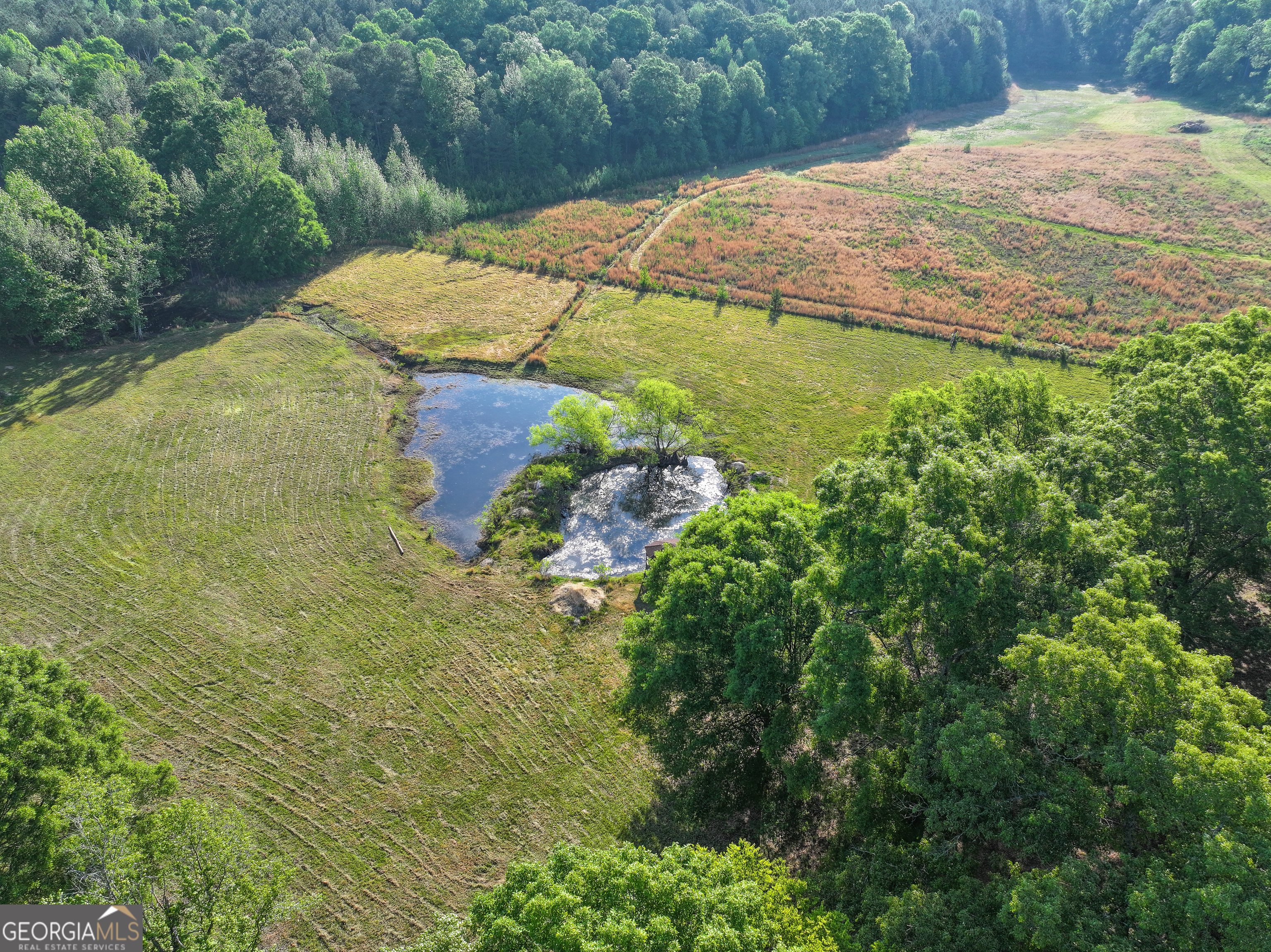 360 Parrish Road Cedartown, GA 30125 - Photo 50 of 53