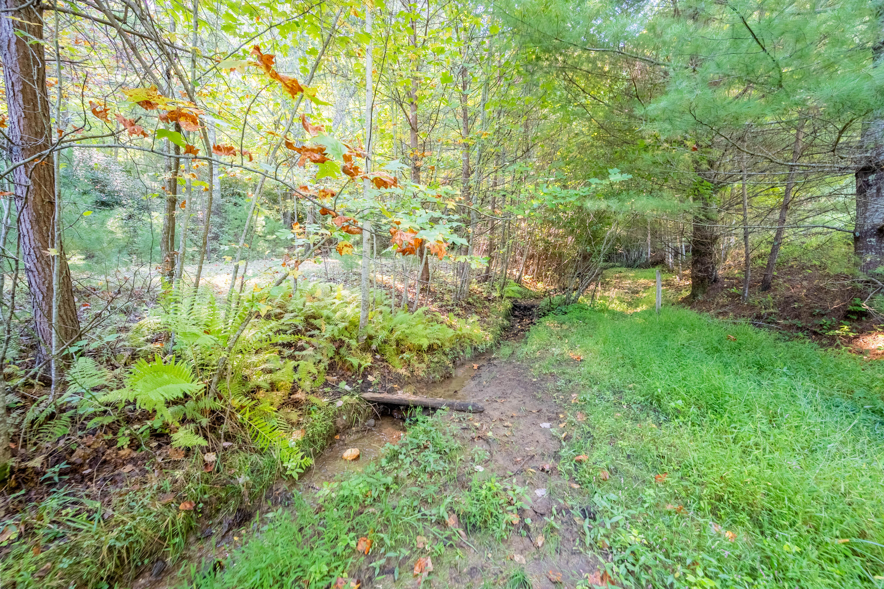 1352 Ridgeview Road Northwest Floyd, VA 24091 - Photo 51 of 65 floyd-49