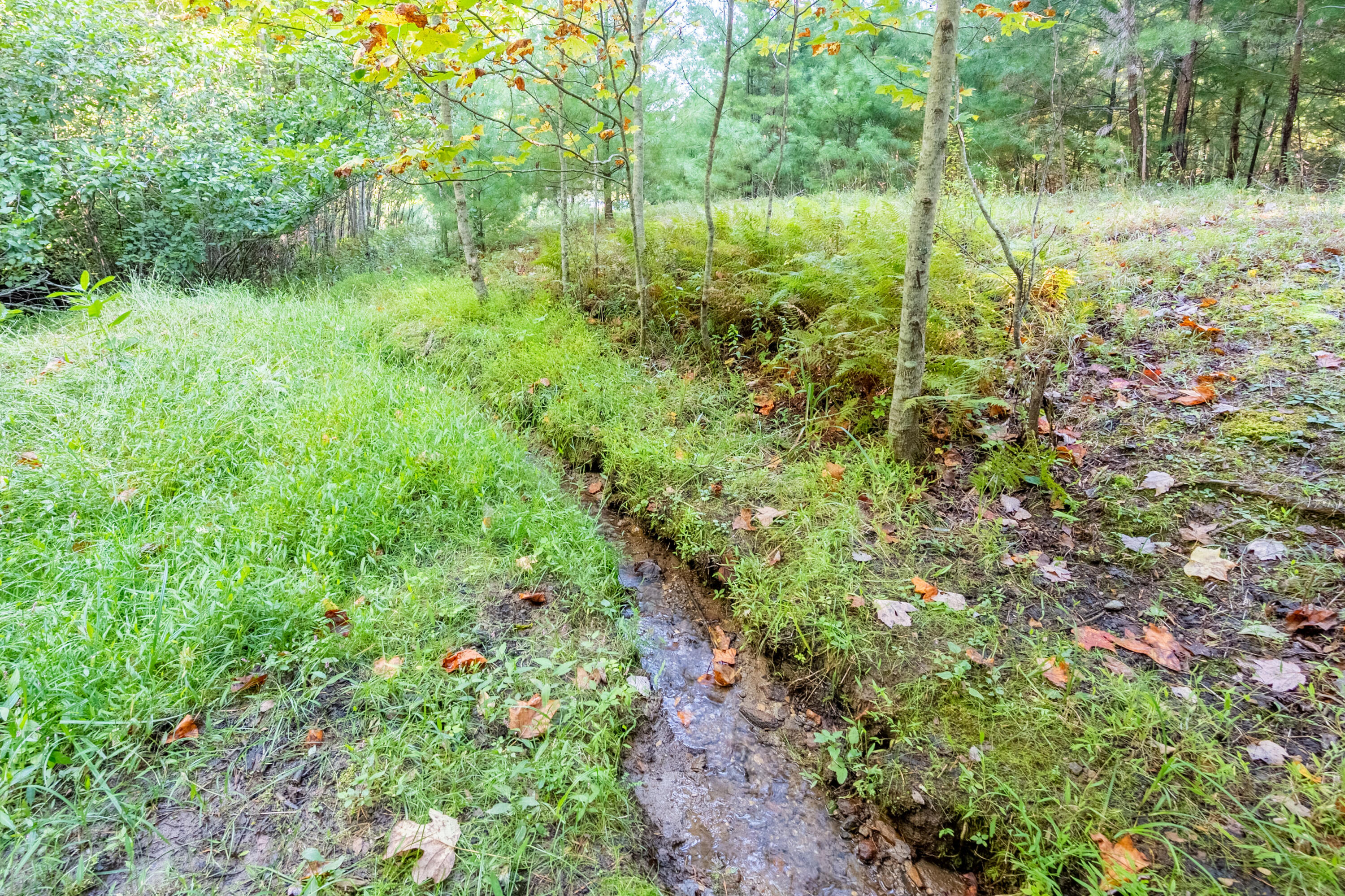 1352 Ridgeview Road Northwest Floyd, VA 24091 - Photo 53 of 65 floyd-51