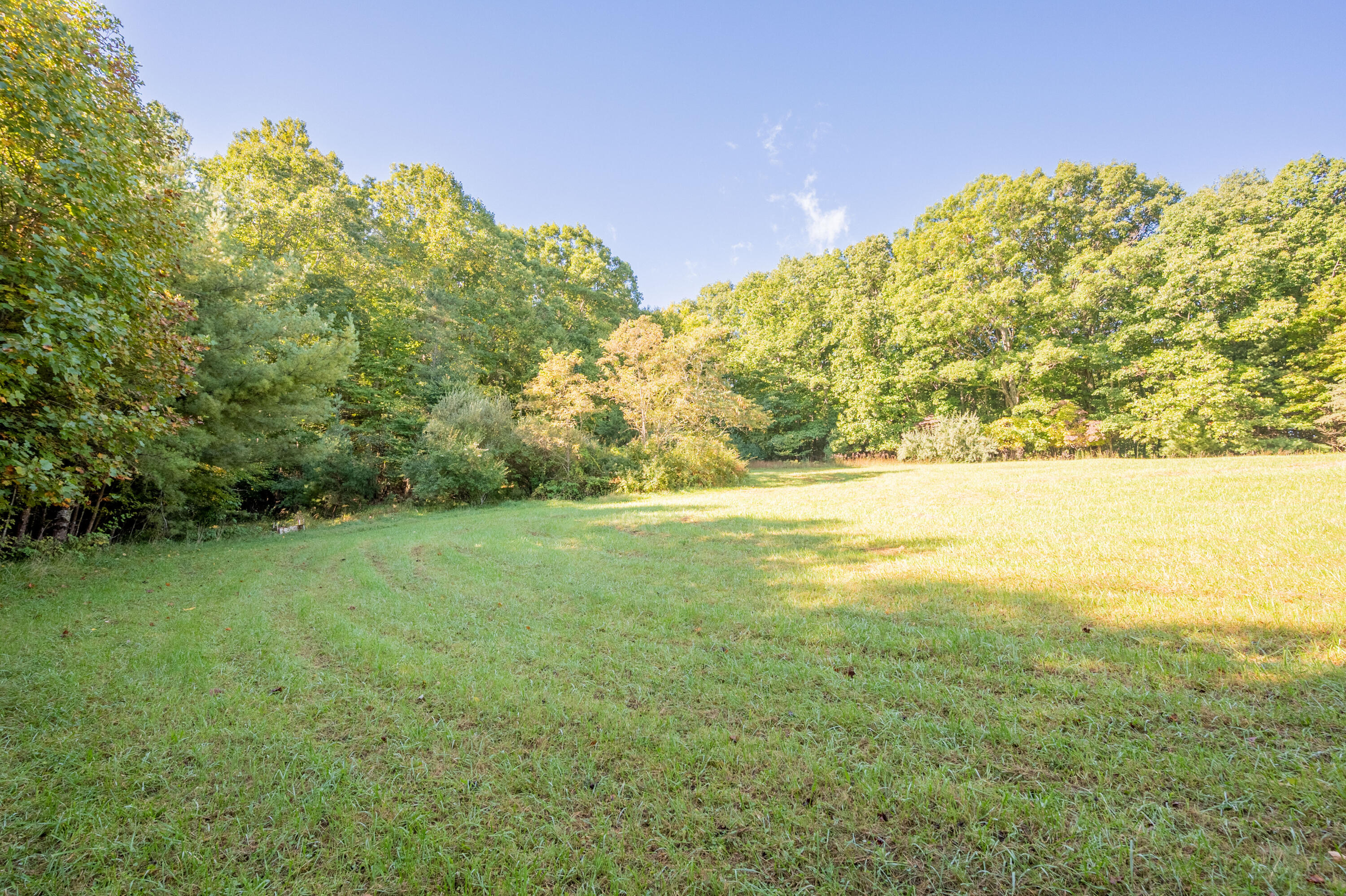 1352 Ridgeview Road Northwest Floyd, VA 24091 - Photo 54 of 65 floyd-52