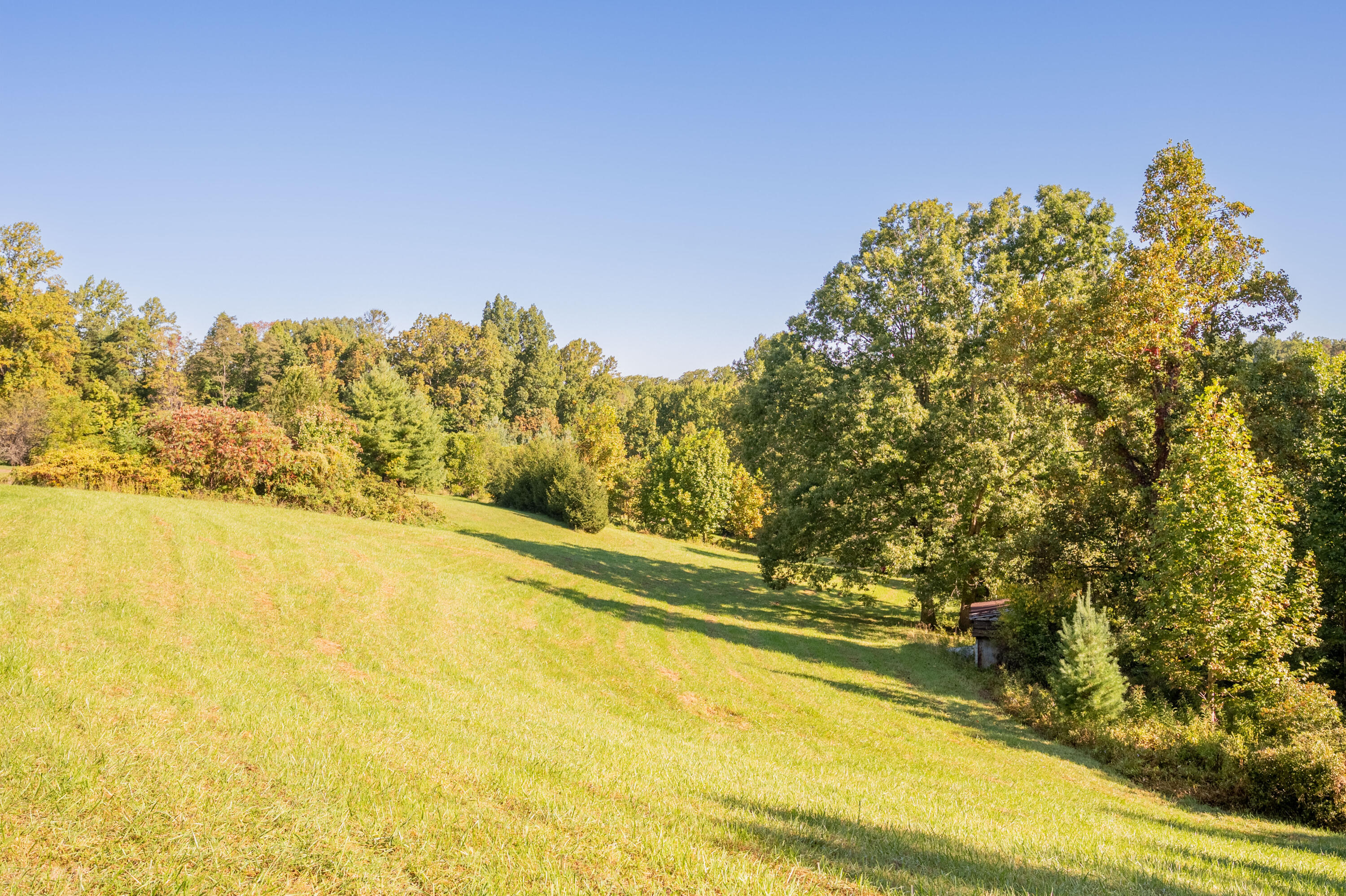 1352 Ridgeview Road Northwest Floyd, VA 24091 - Photo 55 of 65 floyd-53