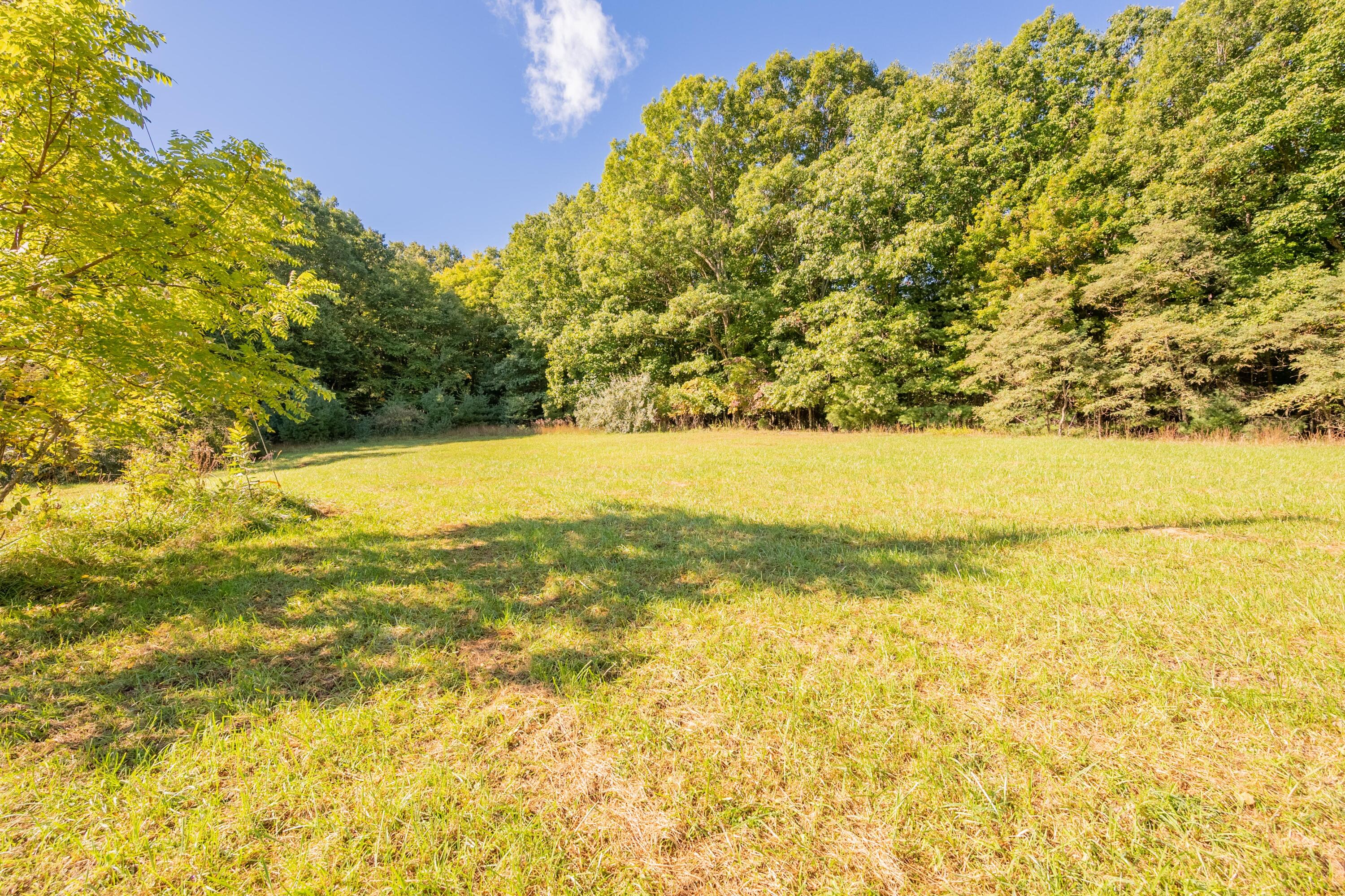1352 Ridgeview Road Northwest Floyd, VA 24091 - Photo 56 of 65 floyd-54