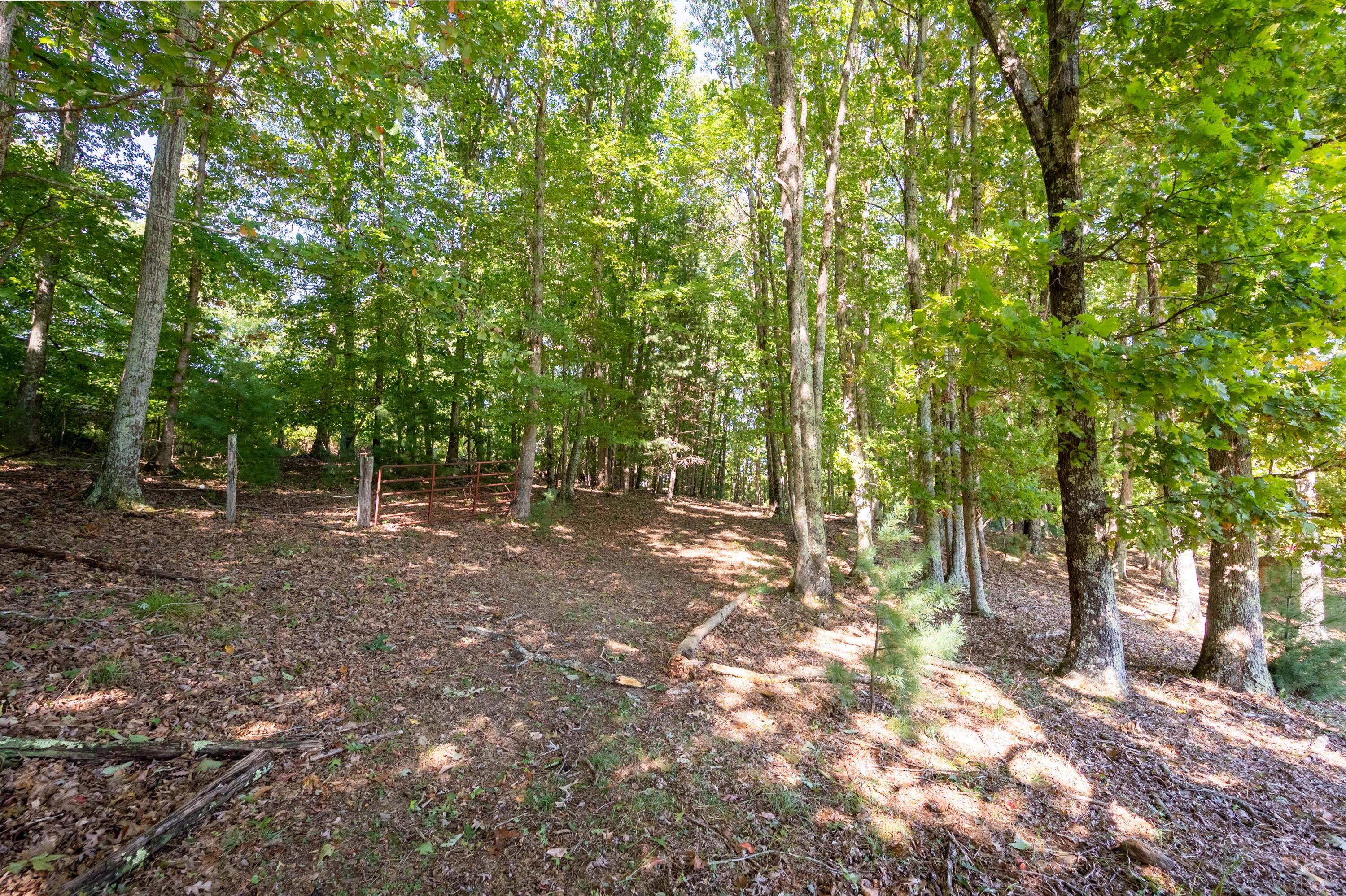 1352 Ridgeview Road Northwest Floyd, VA 24091 - Photo 64 of 65 floyd-75
