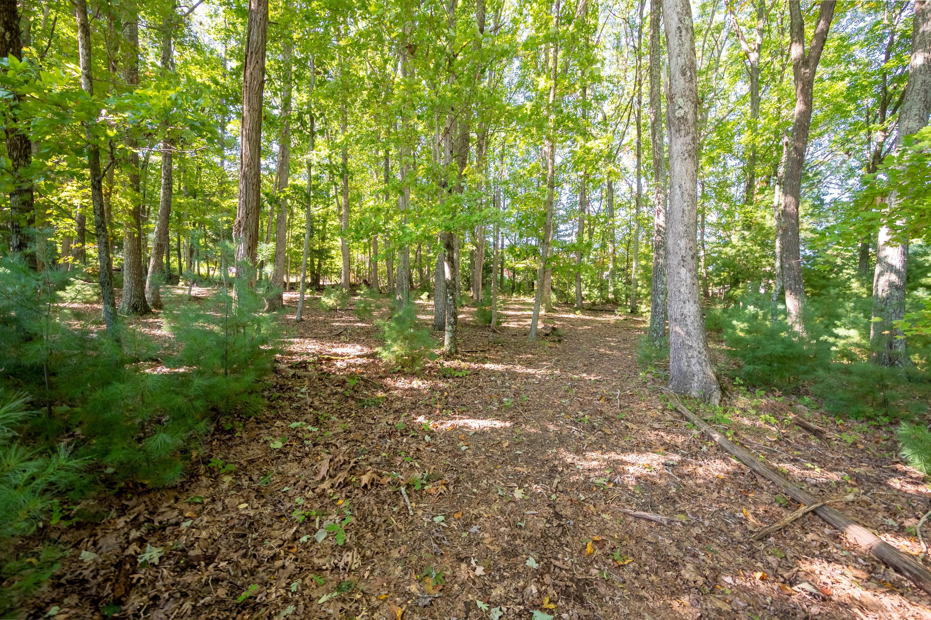 1352 Ridgeview Road Northwest Floyd, VA 24091 - Photo 65 of 65 floyd-73