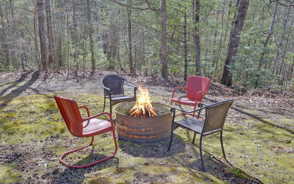 691 Hawks Claw Road Morganton, GA 30560 - Photo 47 of 60 Gallery Image 47