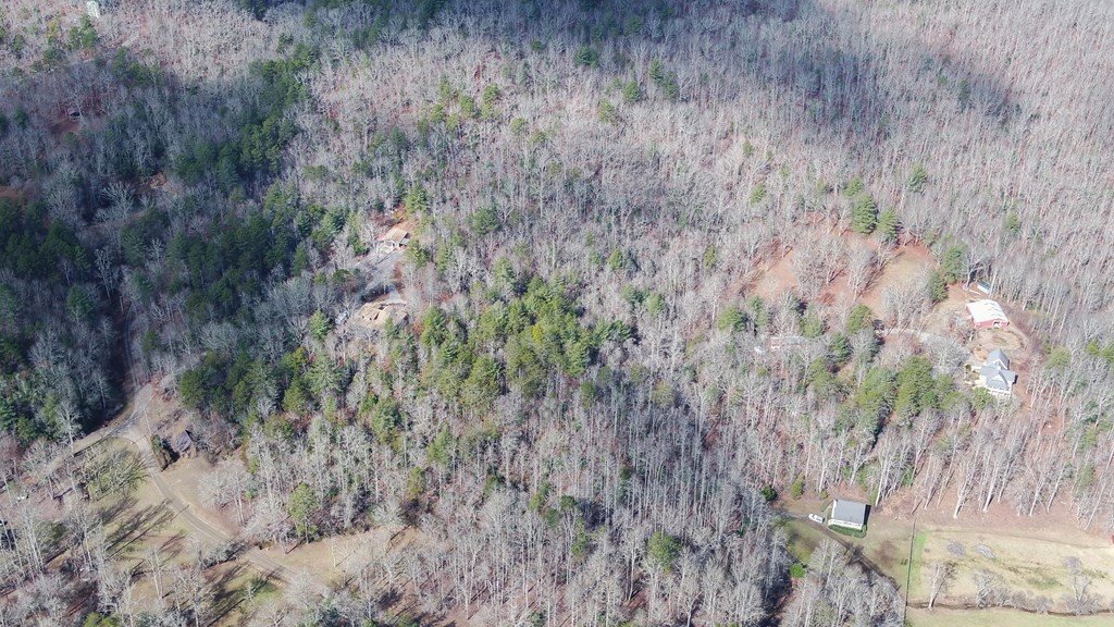 691 Hawks Claw Road Morganton, GA 30560 - Photo 50 of 60 Gallery Image 50