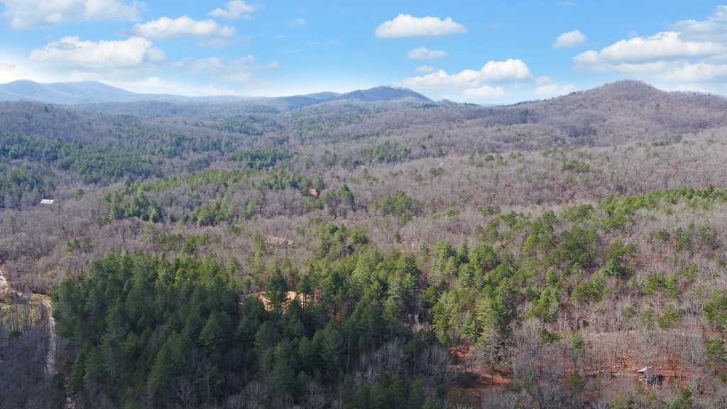 691 Hawks Claw Road Morganton, GA 30560 - Photo 51 of 60 Gallery Image 51