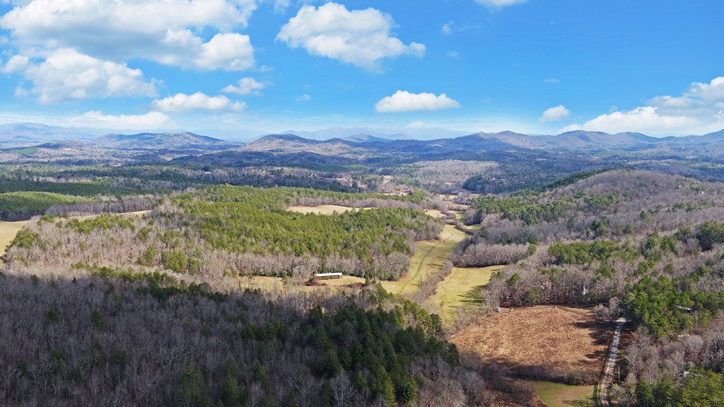 691 Hawks Claw Road Morganton, GA 30560 - Photo 55 of 60 Gallery Image 55