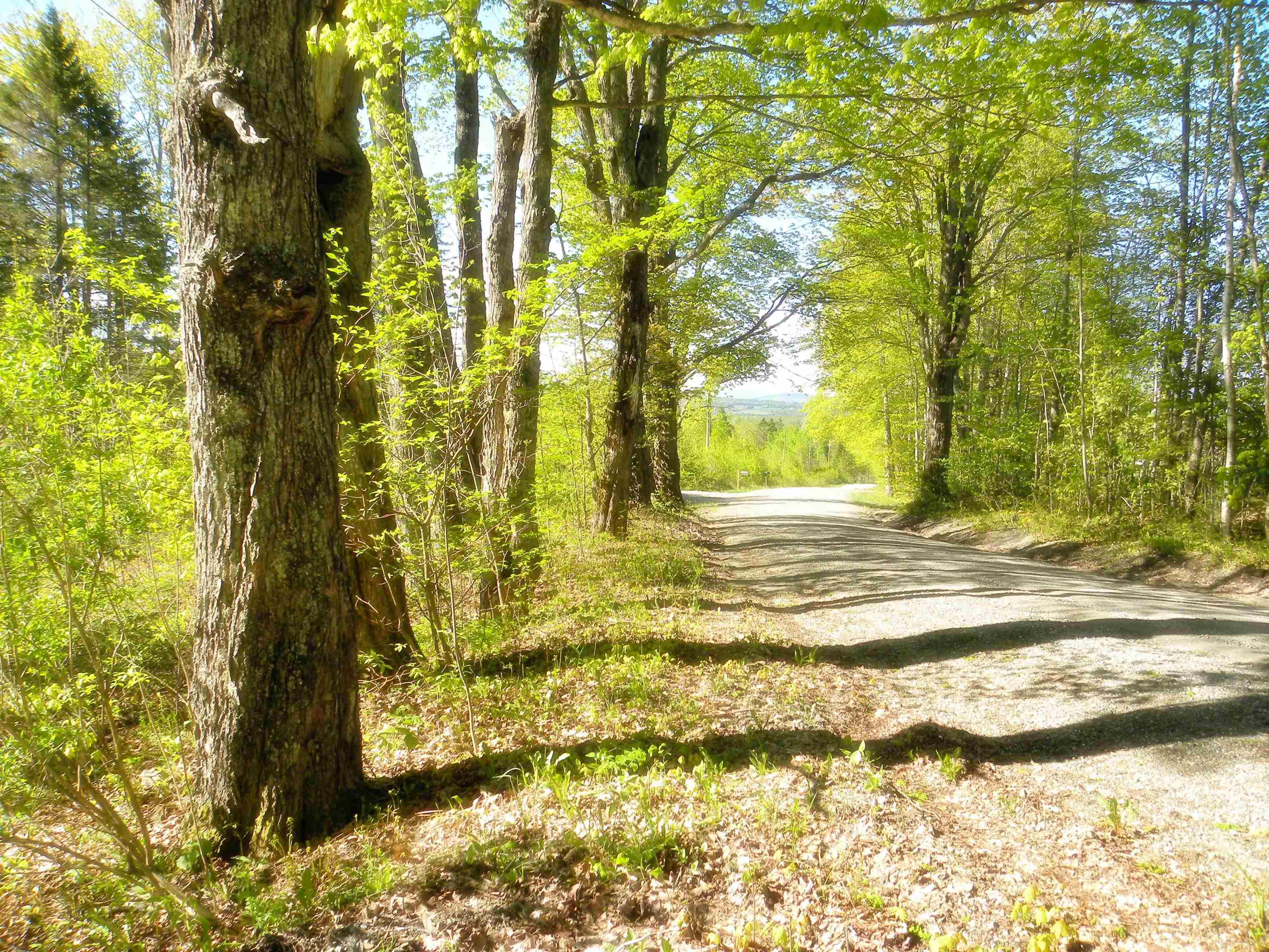 0 Centebar Road Barton, VT 05875 - Photo 5 of 10