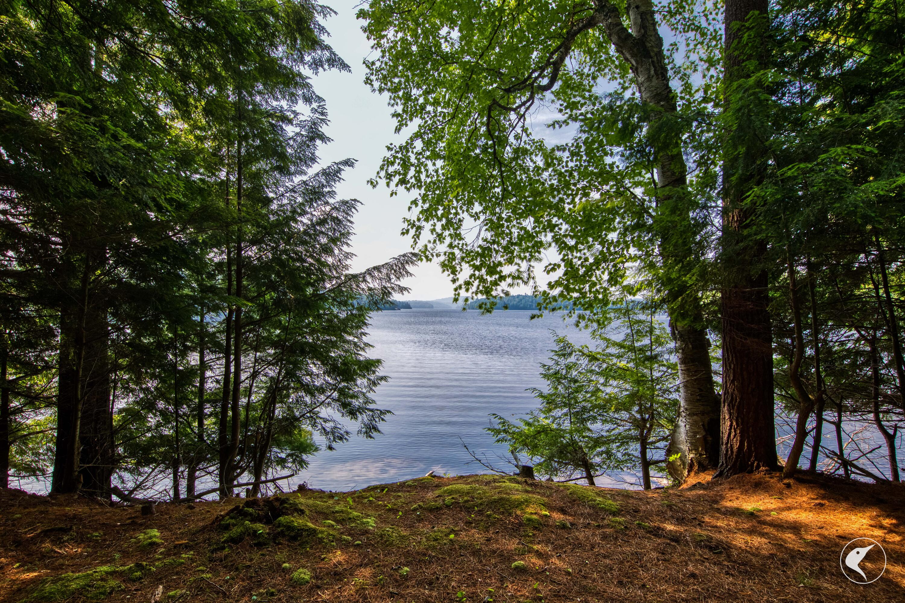 40 County Rte 46 Tupper Lake, NY 12986 - Photo 25 of 91 Shoreline