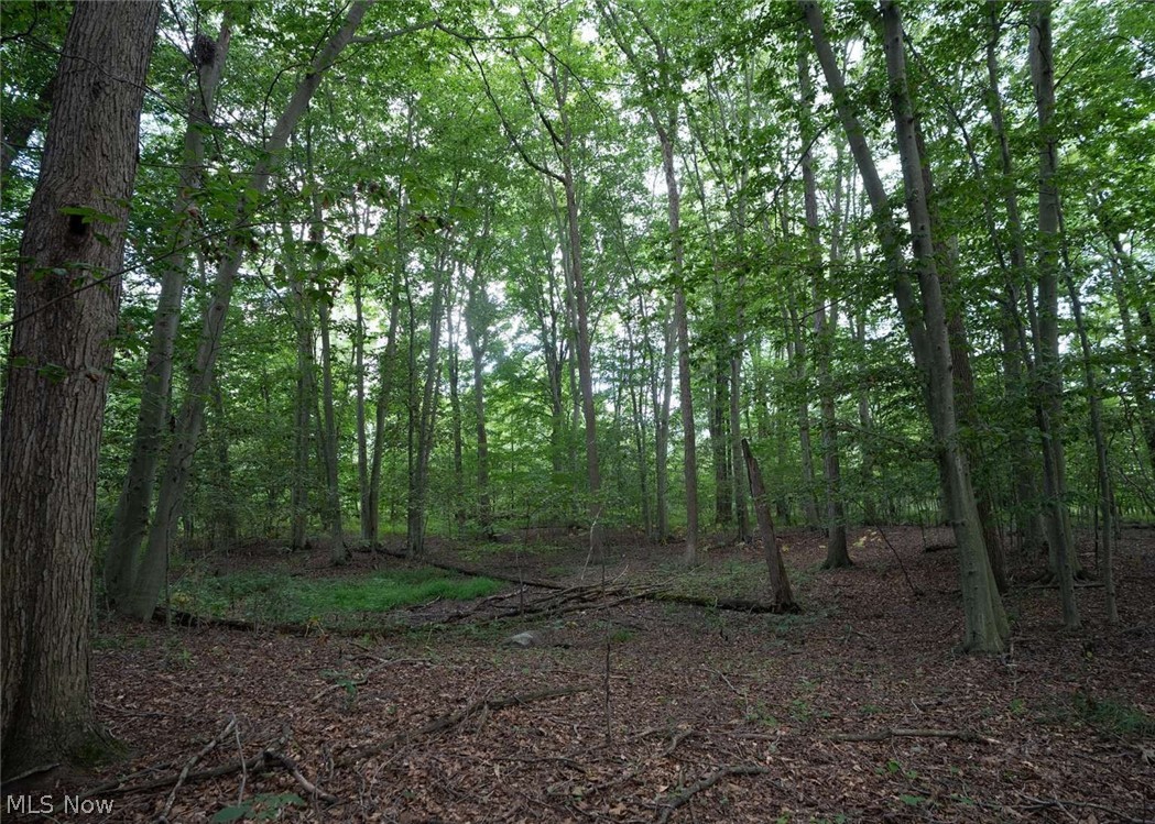 0 Beach Road Wadsworth, OH 44281 - Photo 11 of 11 Gallery Image 11