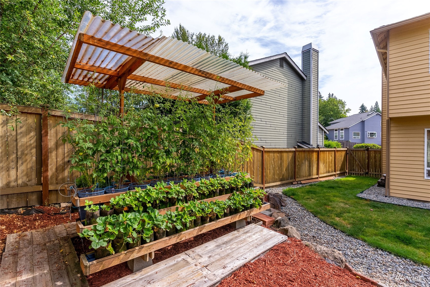 1807 Field Avenue Northeast Renton, WA 98059 - Photo 5 of 38 a backyard of a house with lots of green space