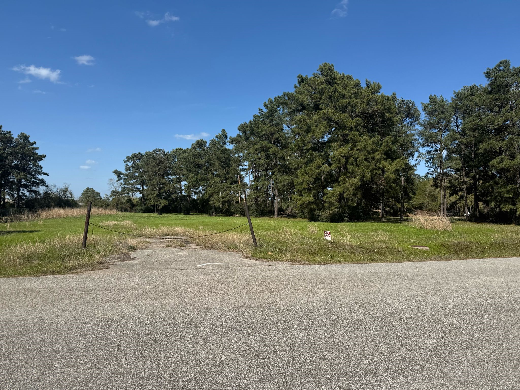 803 Lizzie Lane Tomball, TX 77375 - Photo 1 of 10 a view of a park
