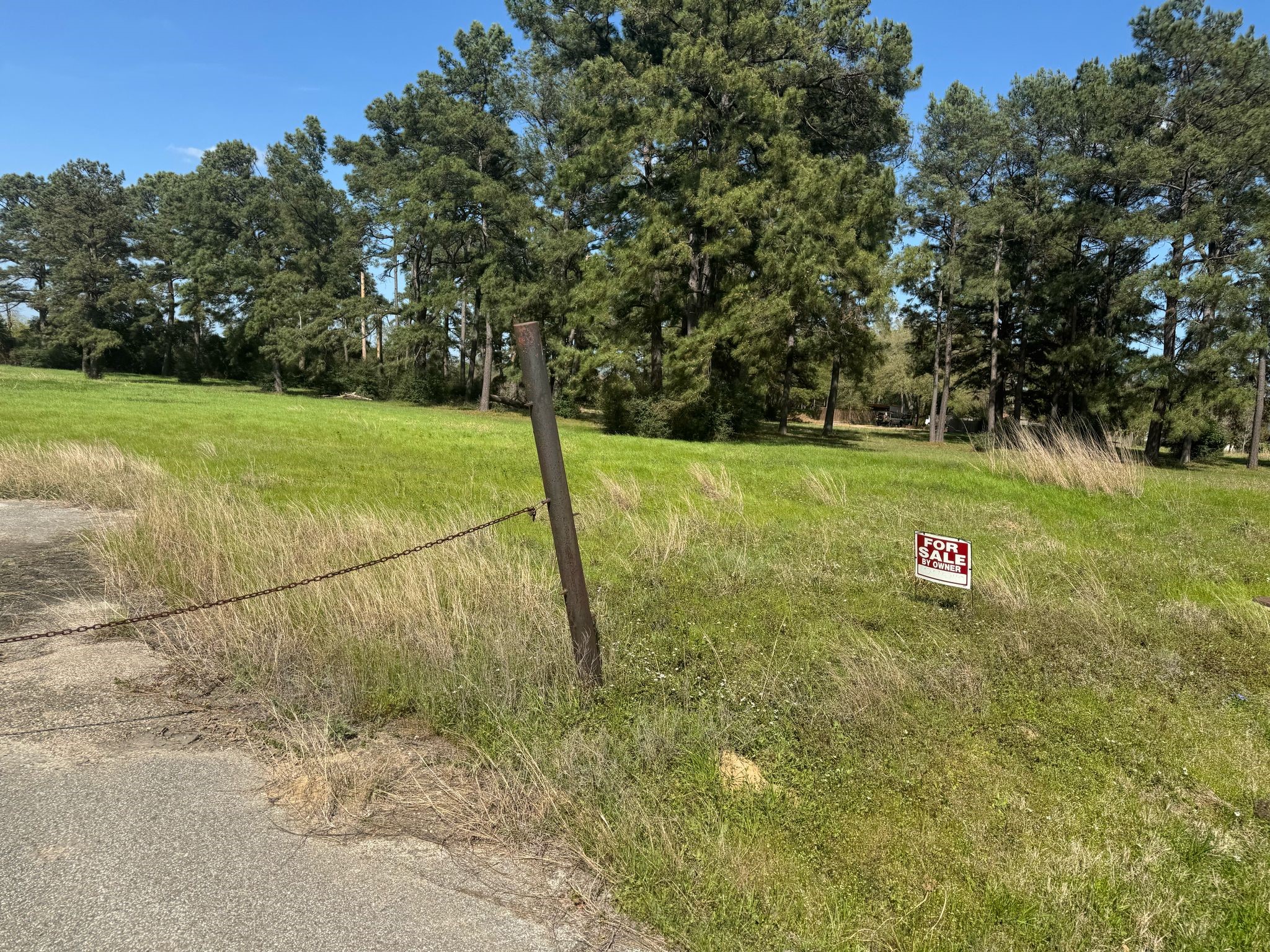 803 Lizzie Lane Tomball, TX 77375 - Photo 3 of 10 a view of a field with an trees