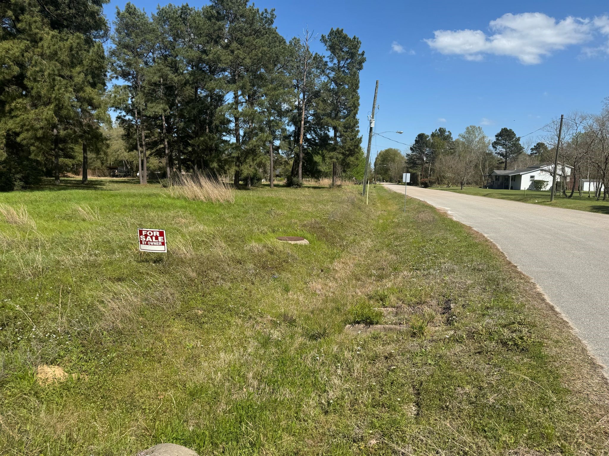 803 Lizzie Lane Tomball, TX 77375 - Photo 4 of 10 a sign board with grassy field