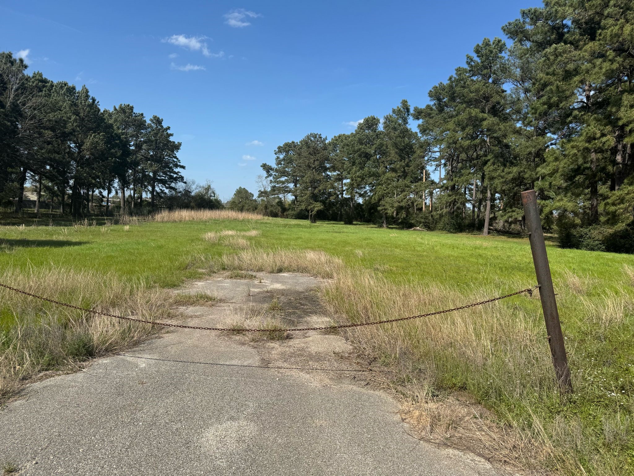 803 Lizzie Lane Tomball, TX 77375 - Photo 5 of 10 a view of a field with a tree