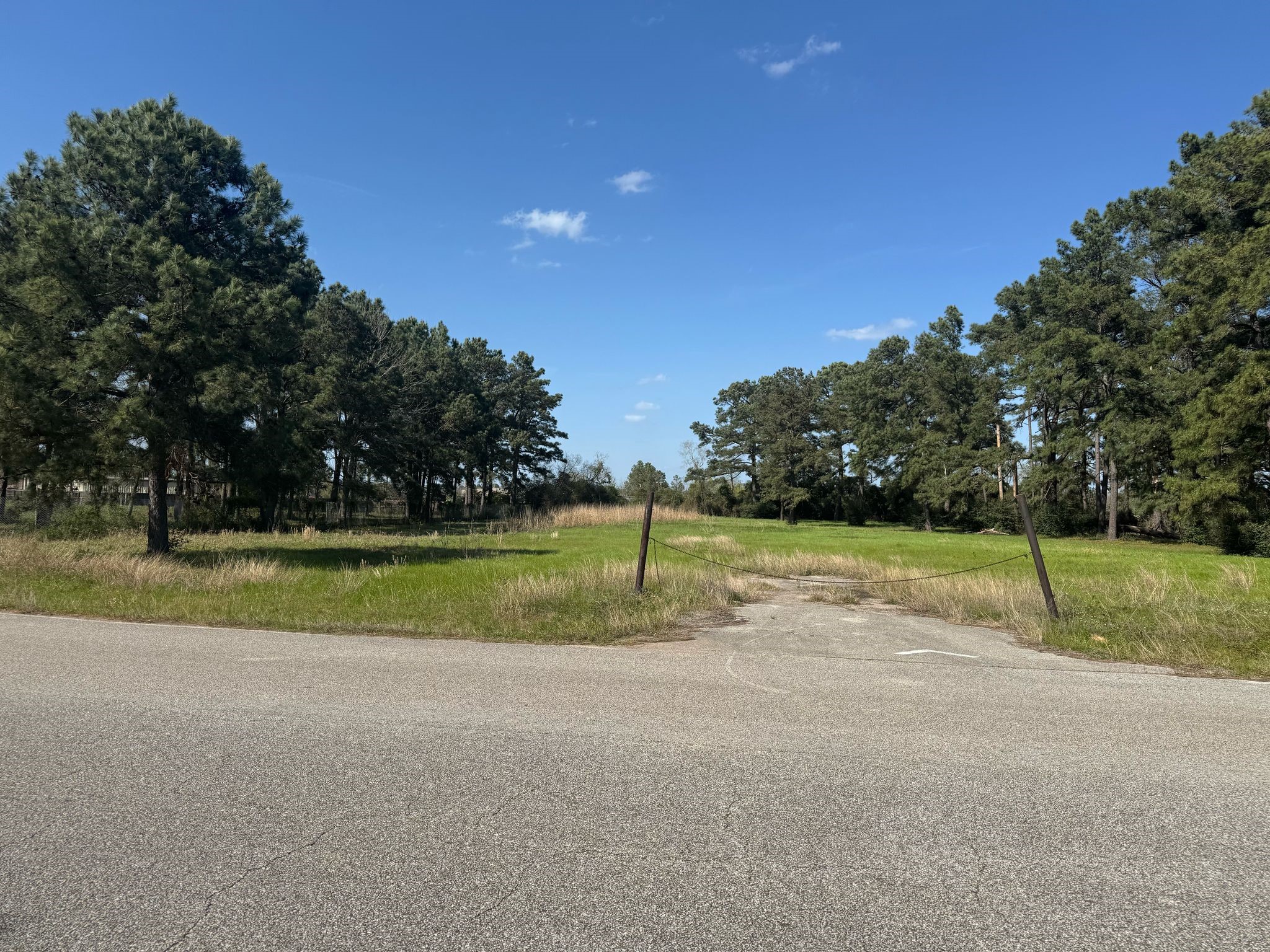 803 Lizzie Lane Tomball, TX 77375 - Photo 6 of 10 a view of outdoor space yard and green space