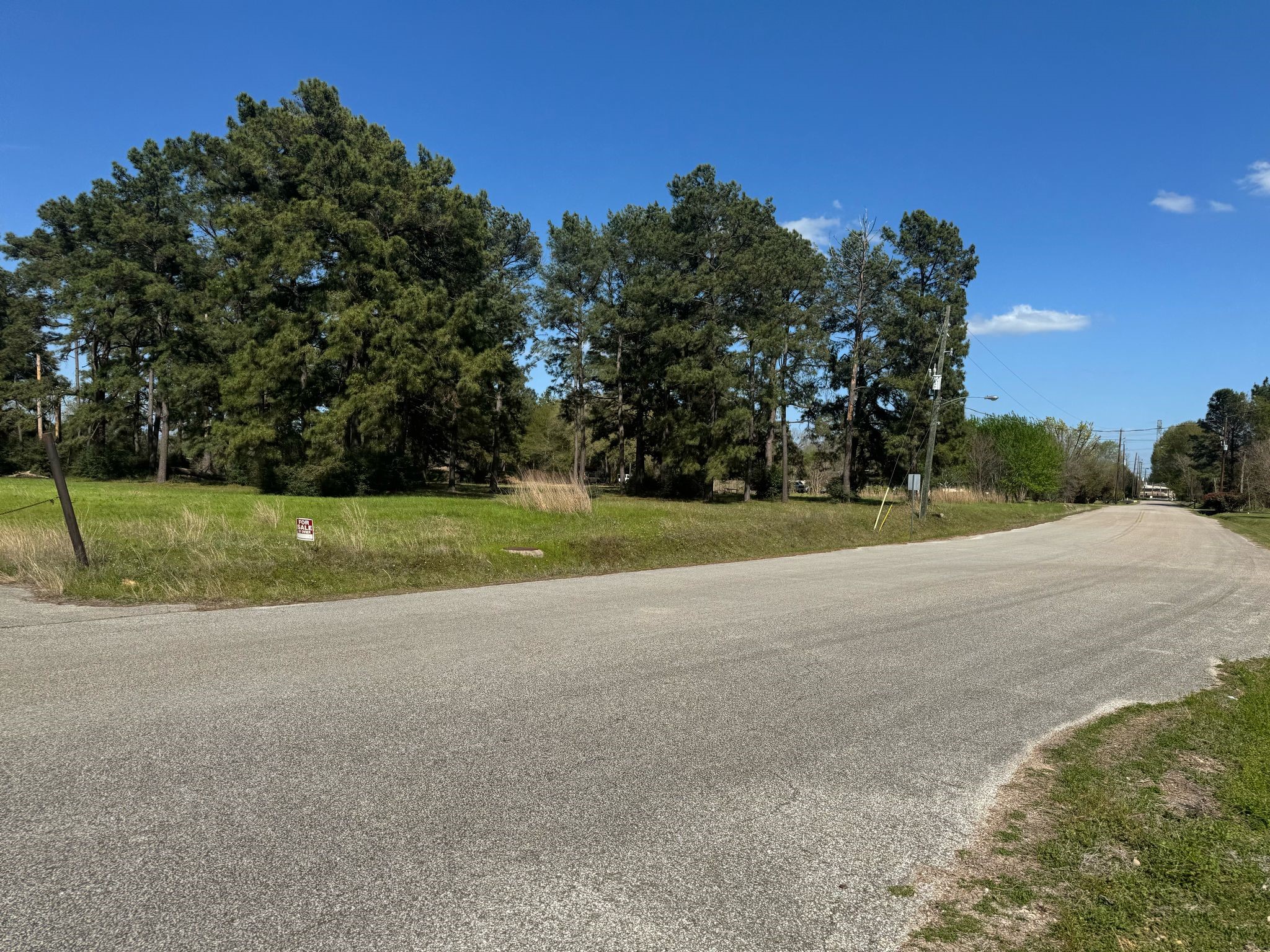 803 Lizzie Lane Tomball, TX 77375 - Photo 7 of 10 a view of a park with large trees with a big yard