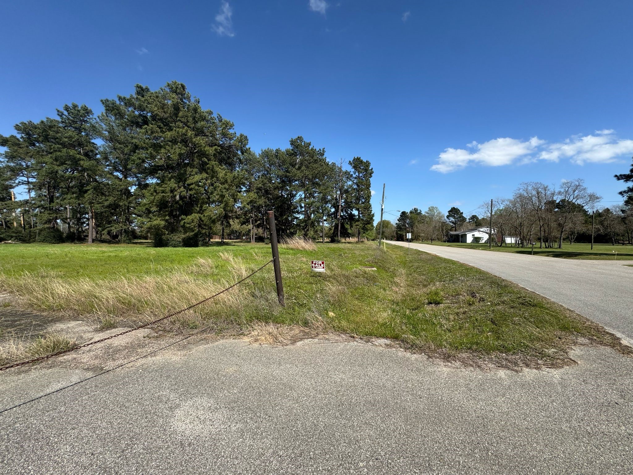 803 Lizzie Lane Tomball, TX 77375 - Photo 8 of 10 a view of a basketball court