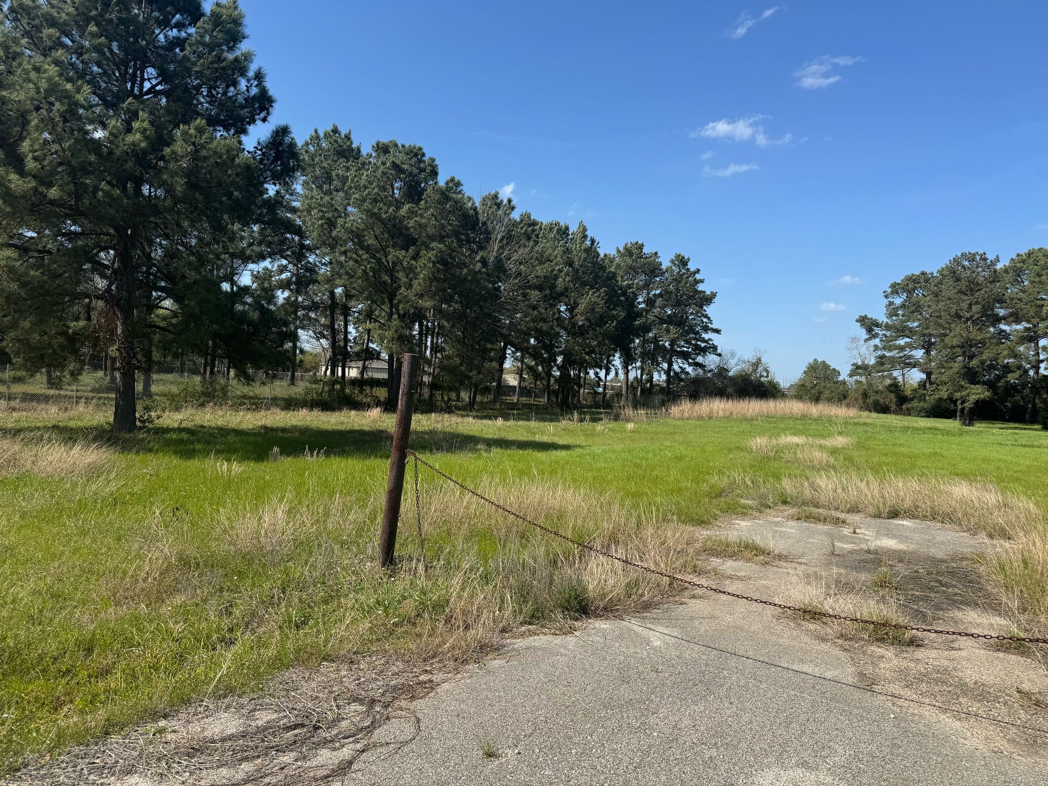 803 Lizzie Lane Tomball, TX 77375 - Photo 10 of 10 a view of a garden with a tree