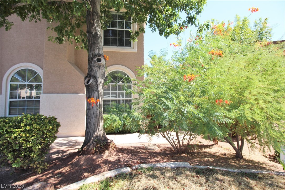 10164 Rising Tree Street Las Vegas, NV 89183 - Photo 3 of 30