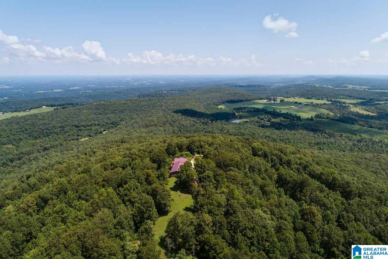 1458 Warnock Peak Road Hayden, AL 35079 - Photo 11 of 50