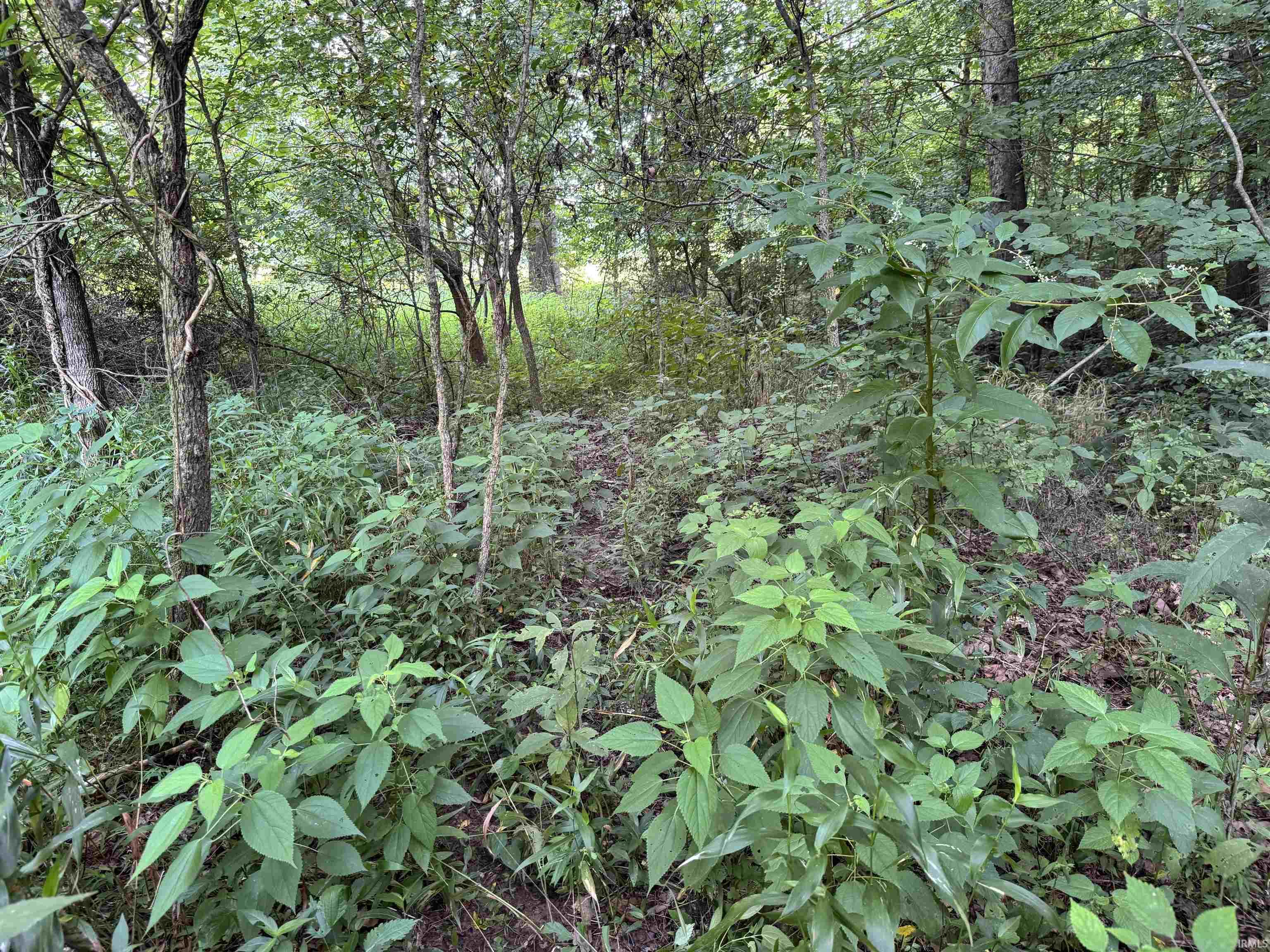 Brushy Fork Road Tell City, IN 47586 - Photo 12 of 47 Gallery Image 12