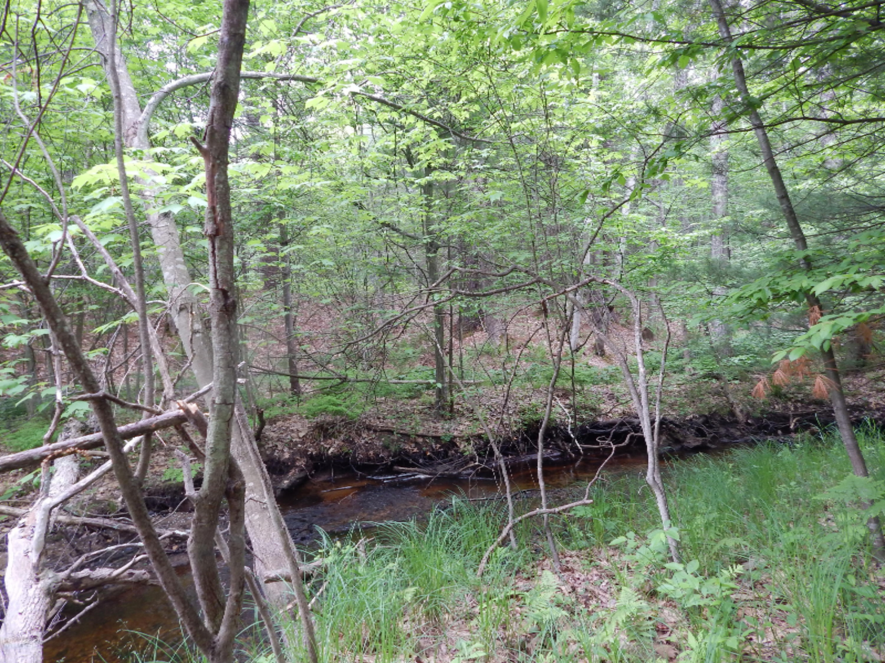 Terpak Road Manistee, MI 49660 - Photo 1 of 30 Claybank Creek