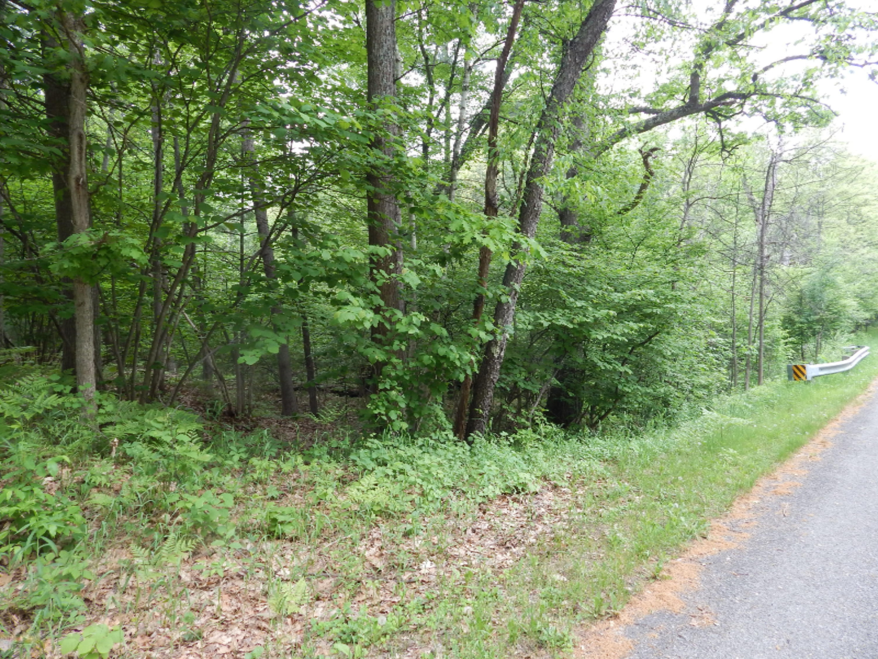 Terpak Road Manistee, MI 49660 - Photo 27 of 30 Looking NW