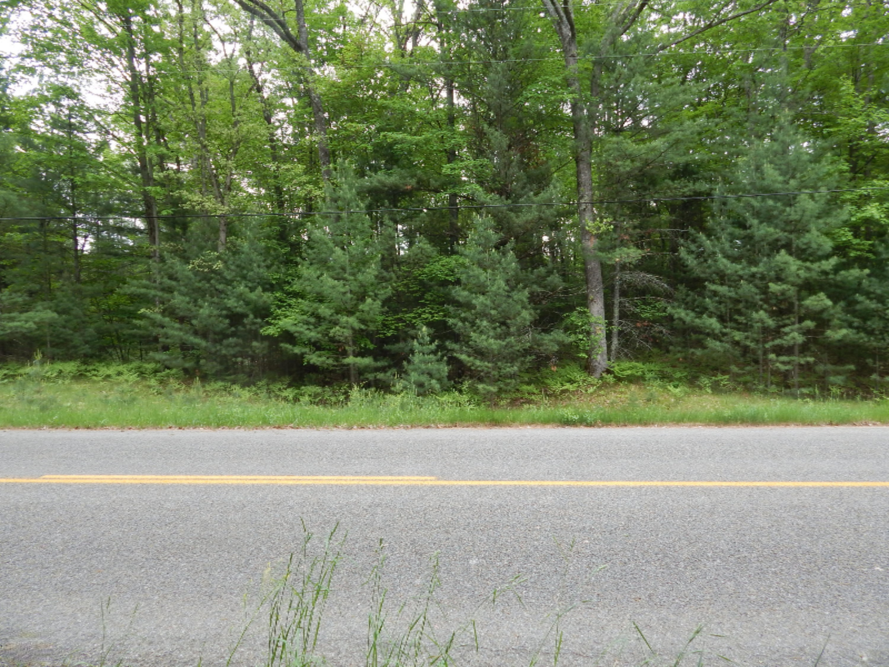 Terpak Road Manistee, MI 49660 - Photo 29 of 30 Looking East from parcel across road